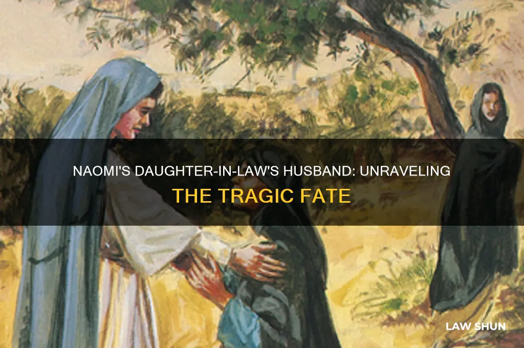 did naomi s daughter n laws husband die also