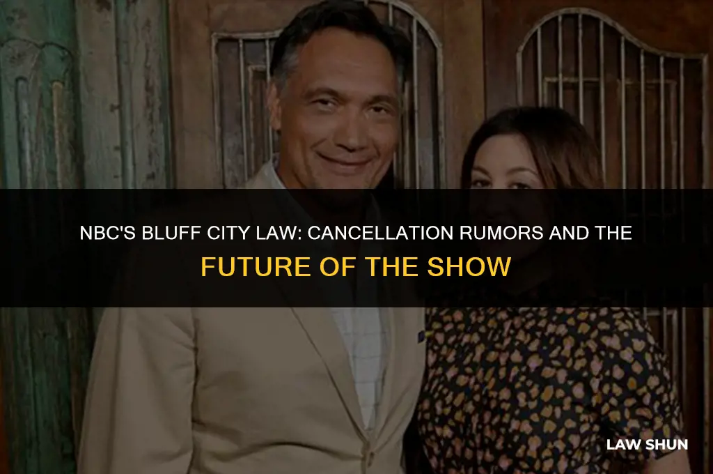 did nbc cancel bluff city law