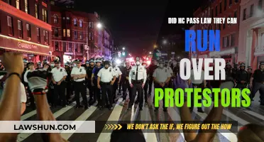 Protestors in Danger: NC's New Law