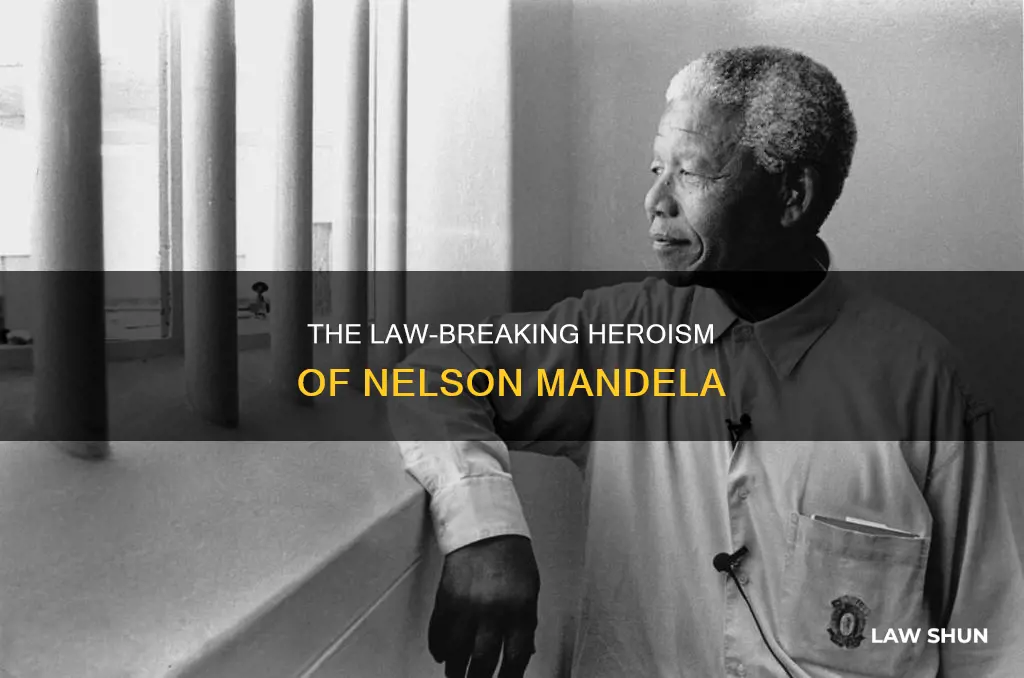 did nelson mandela break any laws