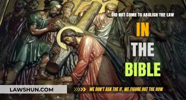 Jesus' Mission: Fulfilling, Not Abolishing, the Law in Scripture