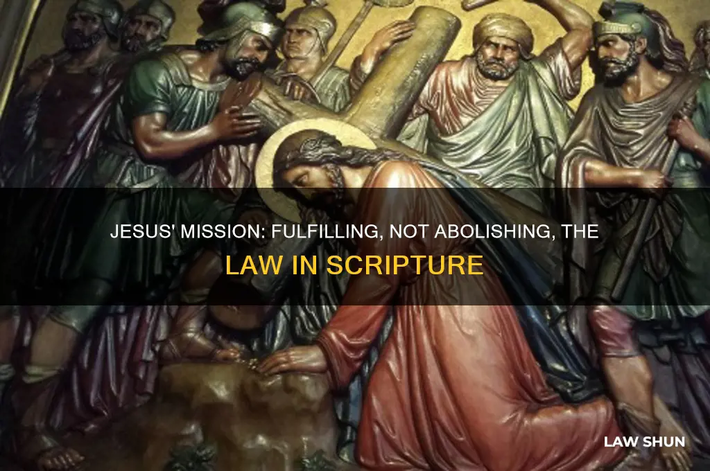 did not come to abolish the law in the bible