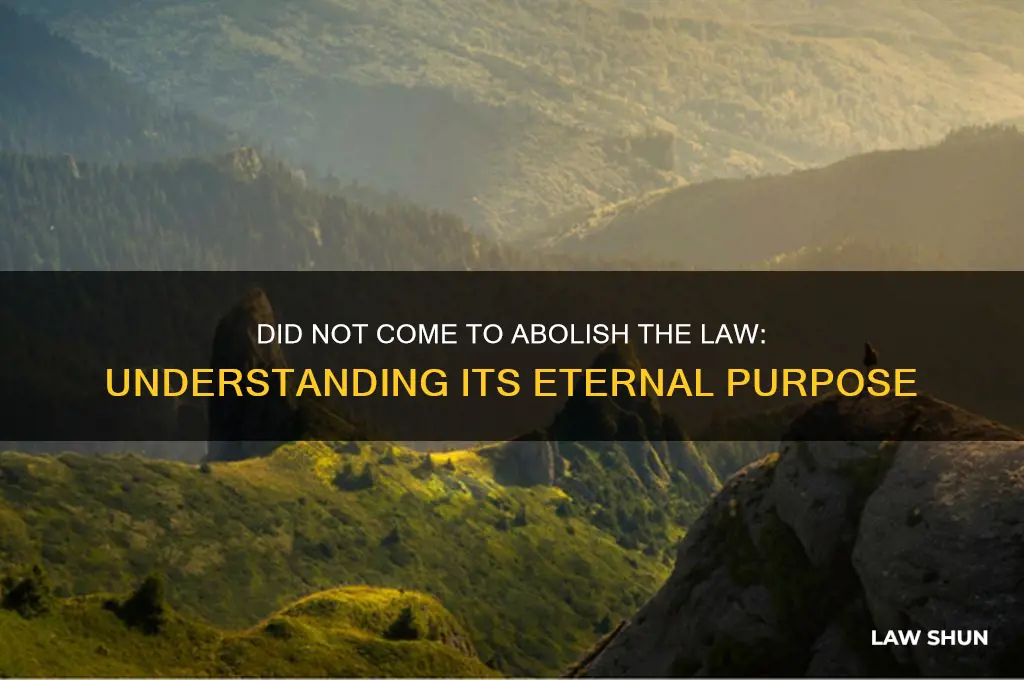 did not come to abolish the law