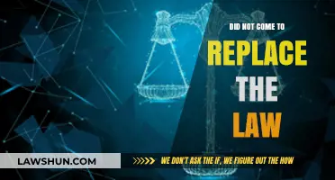 AI's Role: Complementing, Not Replacing, Legal Frameworks and Justice