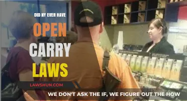 Did New York Ever Allow Open Carry? Unraveling the State's Gun Laws