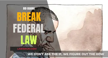 Obama's Actions: Federal Law Violation?