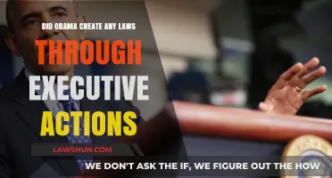 Obama's Executive Actions: Law or Overreach?