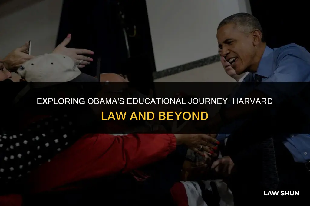 did obama go to harvard law