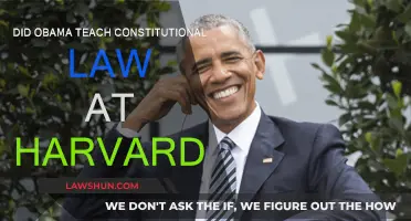 Obama's Harvard Career: Teaching Constitutional Law?