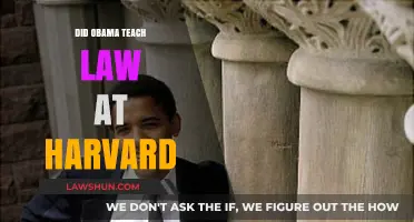 Exploring Obama's Teaching Career at Harvard Law School