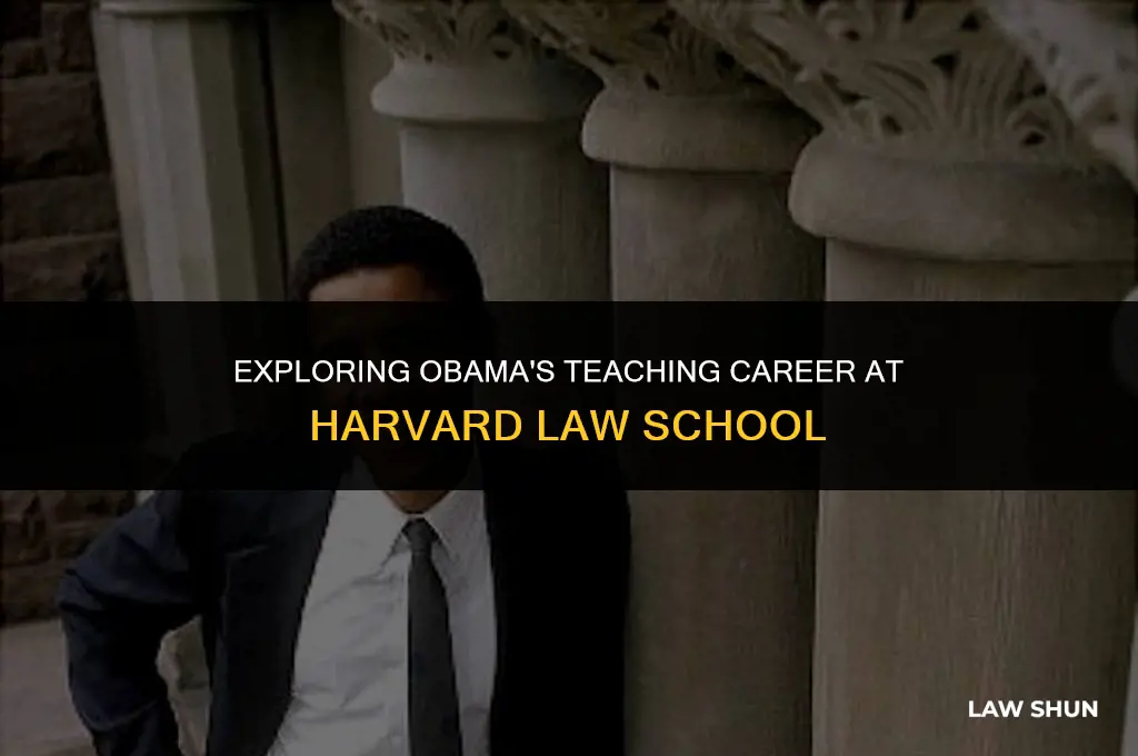 did obama teach law at harvard