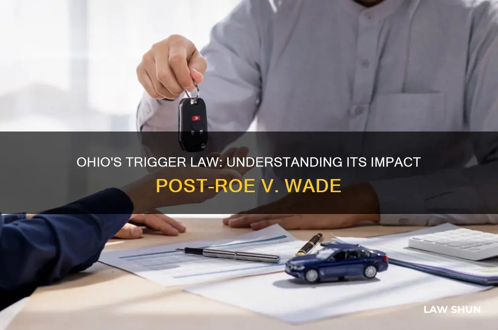 did ohio have a trigger law