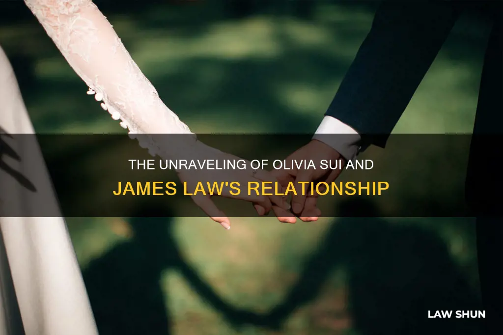 did olivia sui and james law break up