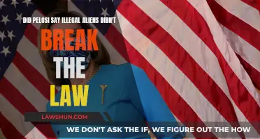 Pelosi's Stance on Illegal Aliens: Lawbreakers or Not?