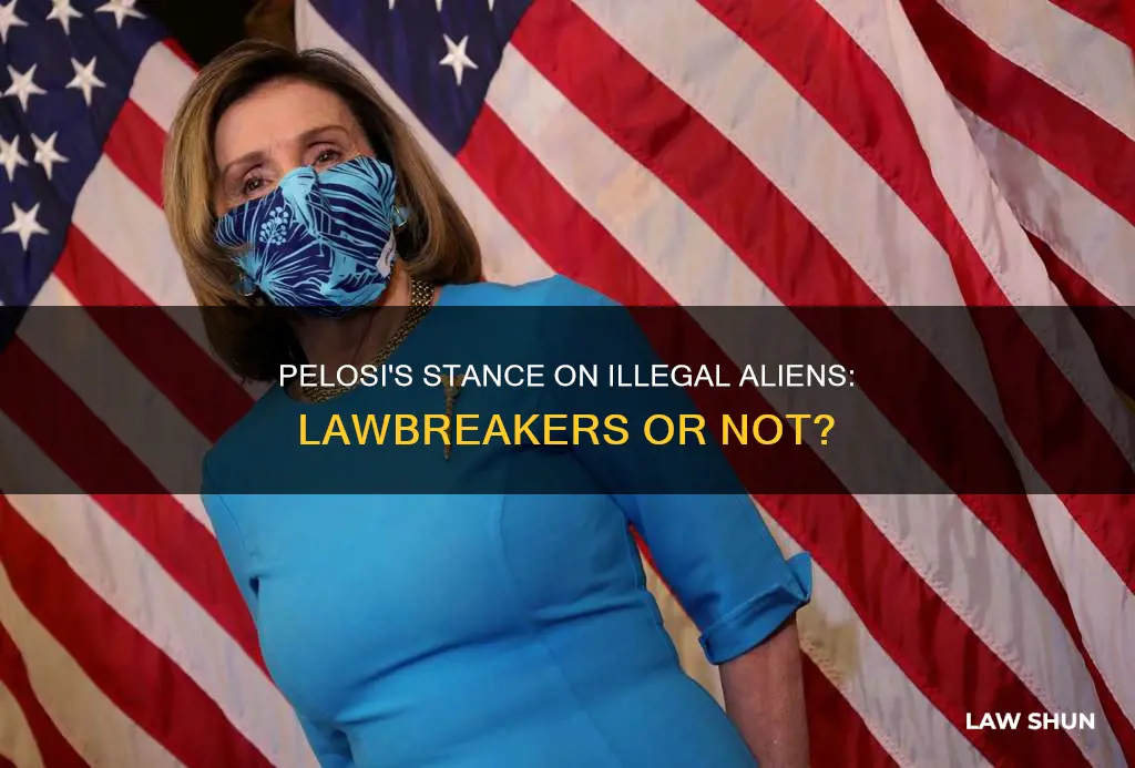 did pelosi say illegal aliens didn