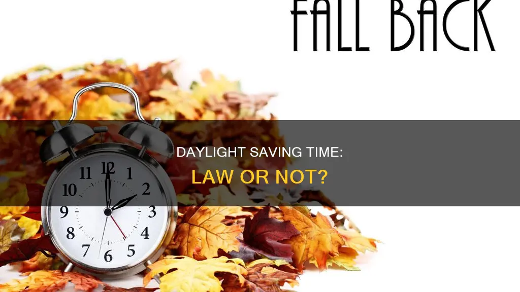 did permanent daylight savings time become law