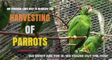 Peruvian Laws Impact: Reducing Parrot Harvesting in the Amazon