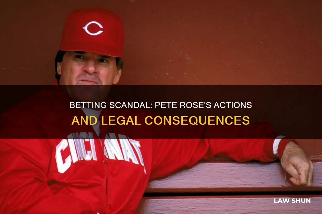 did pete rose break the betting laws