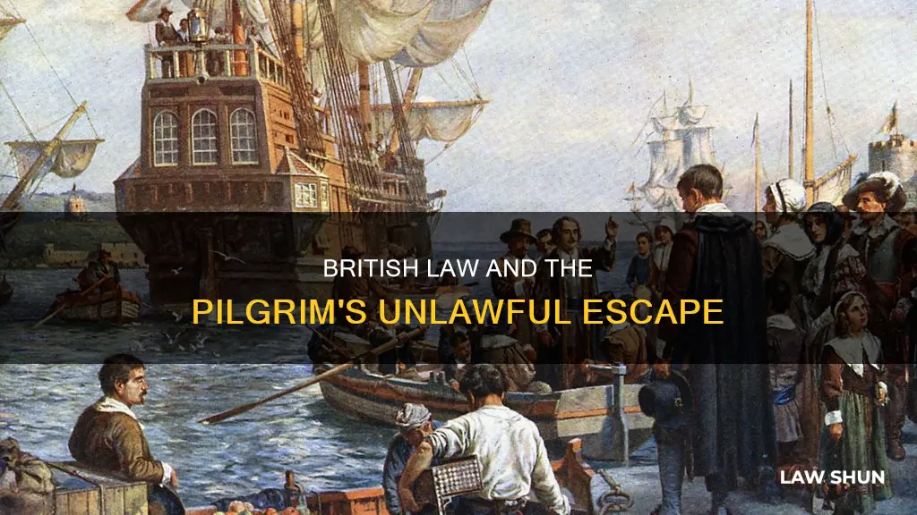 did pilgrims break british law