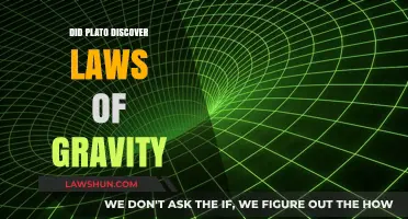 Unraveling the Enigma: Plato's Gravity Laws Discovery Debated