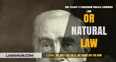 Plessy v Ferguson: A Violation of Natural Law?