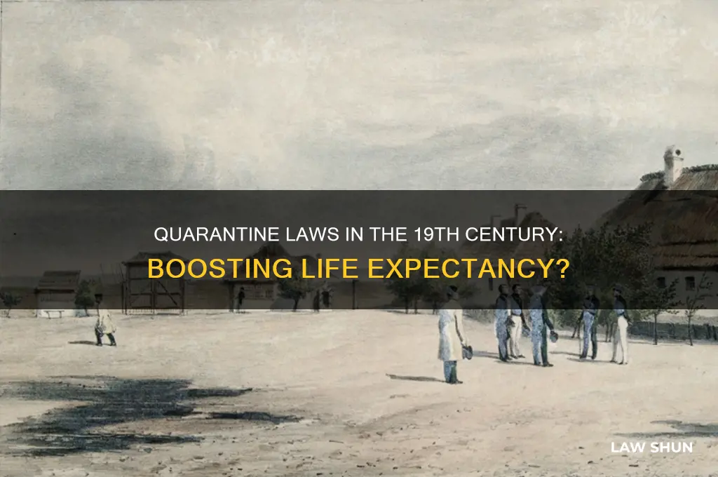 did quarantine laws in the 19th century improve life expectancy