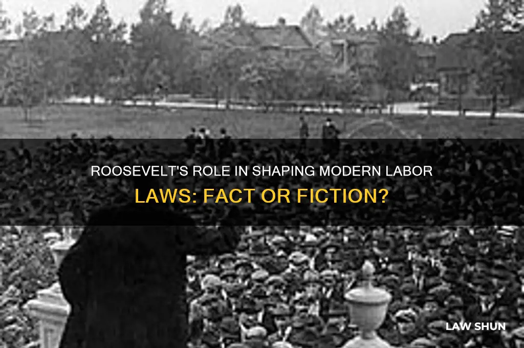 did roosevelt start labor laws