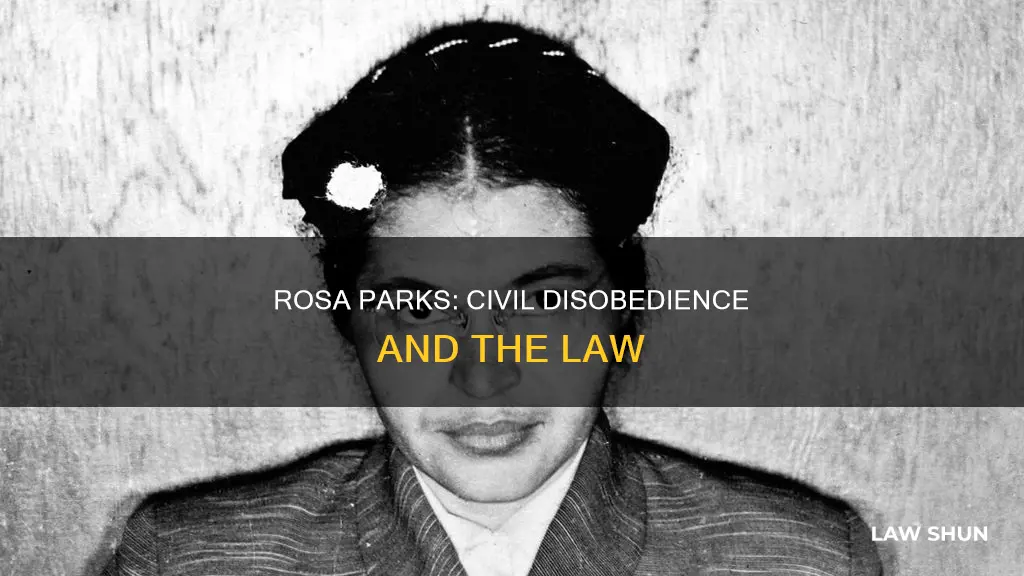 did rosa parks break the law