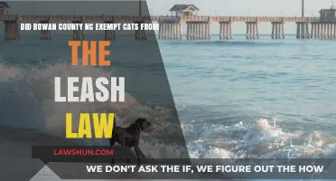 Rowan County NC Leash Law: Are Cats Exempt?
