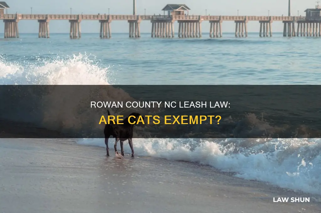 did rowan county nc exempt cats from the leash law
