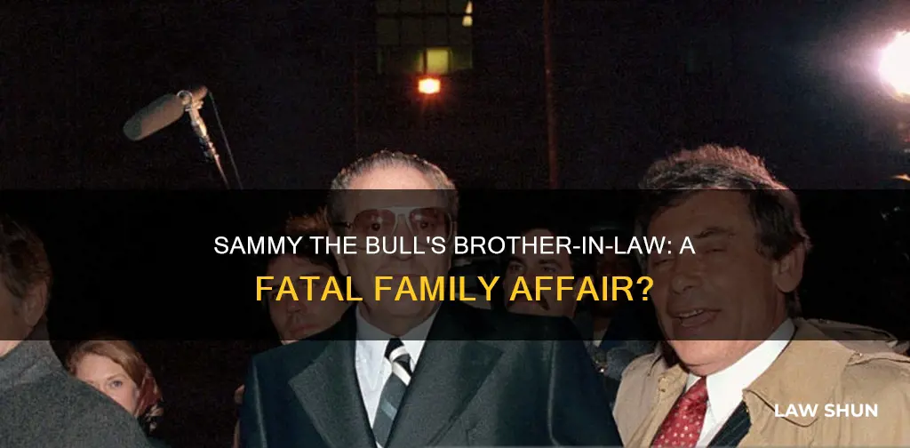 did sammy the bull kill his brother in law