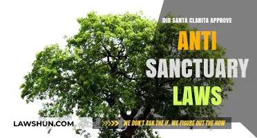 Santa Clarita Approves Anti-Sanctuary Laws: What's Next?