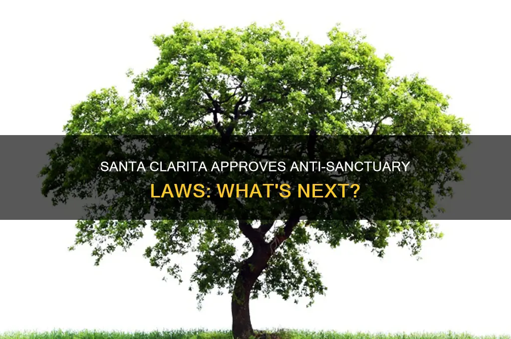 did santa clarita approve anti sanctuary laws