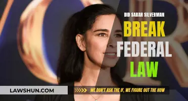 Sarah Silverman: Did She Cross Legal Boundaries?