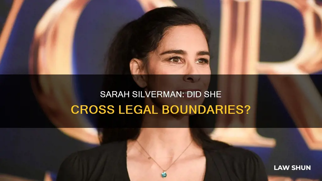 did sarah silverman break federal law