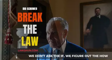 Schumer's Actions: Lawful or Unlawful?