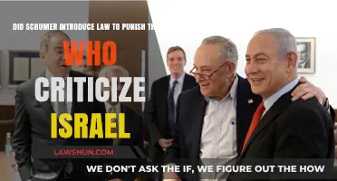 Schumer's Law: Punishing Critics of Israel? The Debate Explained