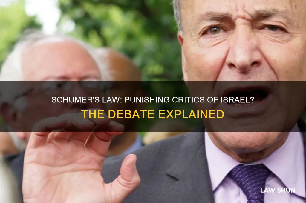 did schumer introduce law to punish those who criticize israel