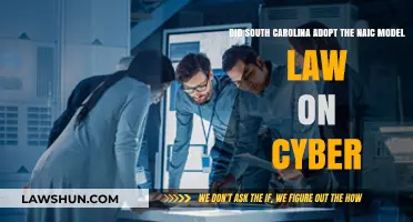 South Carolina's Cyber Law: NAIC Model Adoption Explained