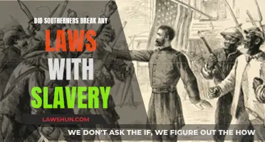 Southern Slavery: Legal or Criminal?