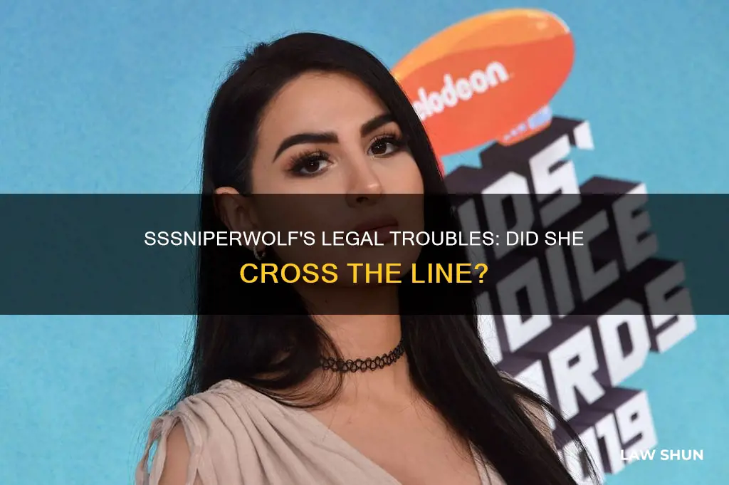 did sssniperwolf break the law