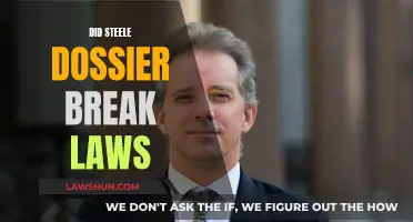 Steele Dossier: Legal or Illegal?