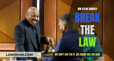 Steve Harvey: Lawbreaker or Innocent?