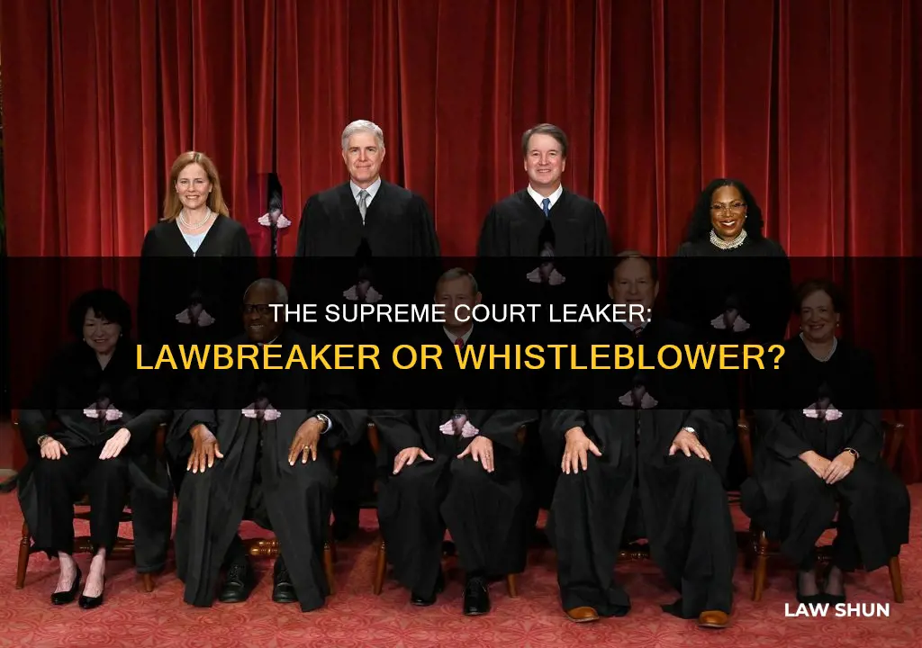 did supreme court leaker break the law