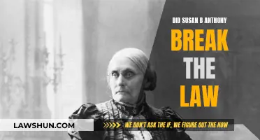 Susan B. Anthony: Lawbreaker or Freedom Fighter?