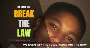 The Law and Tamir Rice: A Question of Legality