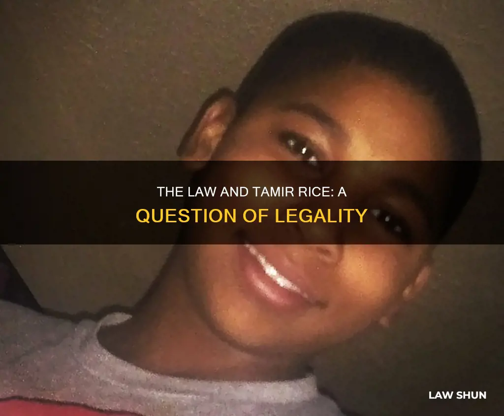 did tamir rice break the law