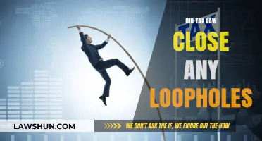 Tax Law: Loophole Busters or Creators?