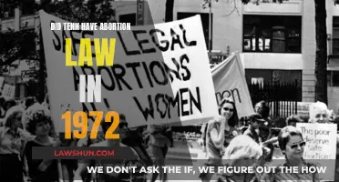 Abortion Law in Tennessee: 1972's Story