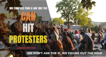 Tennessee's New Law: Hit Protesters, Face Consequences